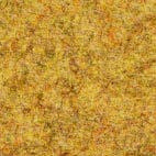 Pugi fenice 52 Swatch image for Pugi fenice 52